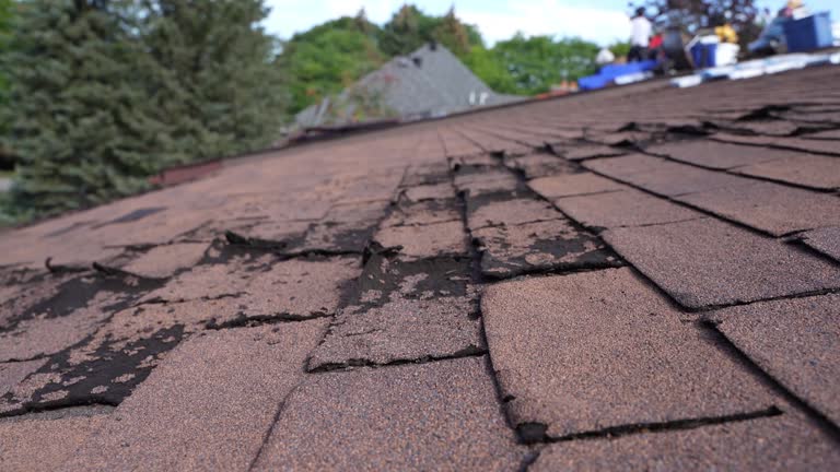 4 Ply Roofing in Chatfield, MN