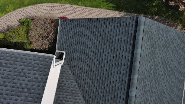 Roof Moss and Algae Removal in Chatfield, MN