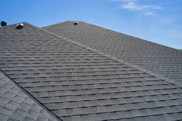 Best Solar Panel Roofing Installation  in Chatfield, MN