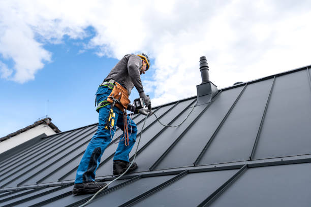 Best Chimney Flashing Repair  in Chatfield, MN